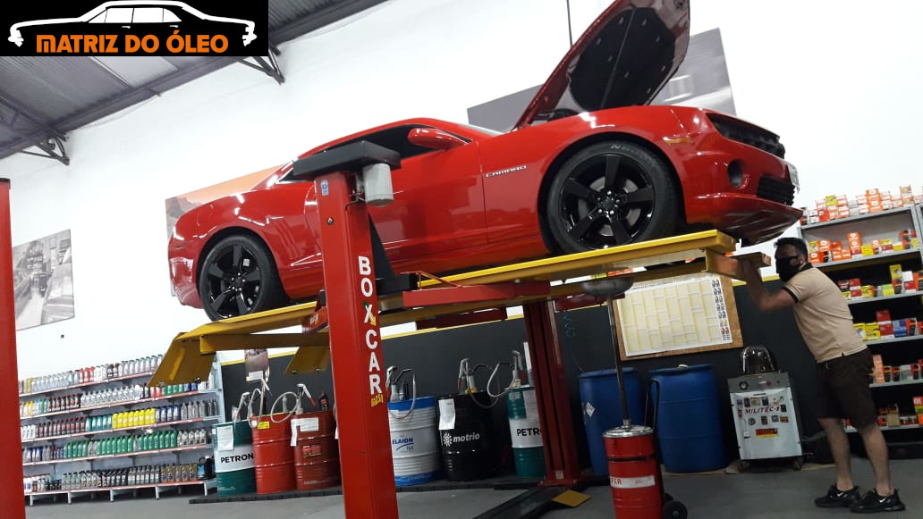 MATRIZ-DO-OLEO-12.jpg